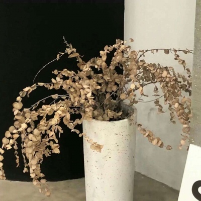 Furry插画光影解析干货福瑞交流群